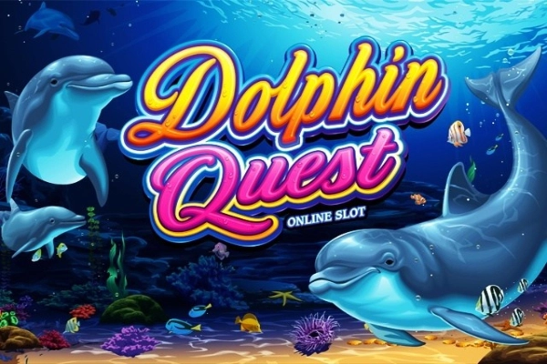 07823 dolphin quest